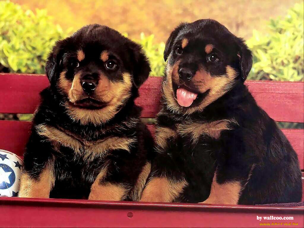 , 